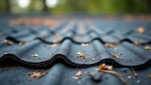 Jaka papa na dach garażu